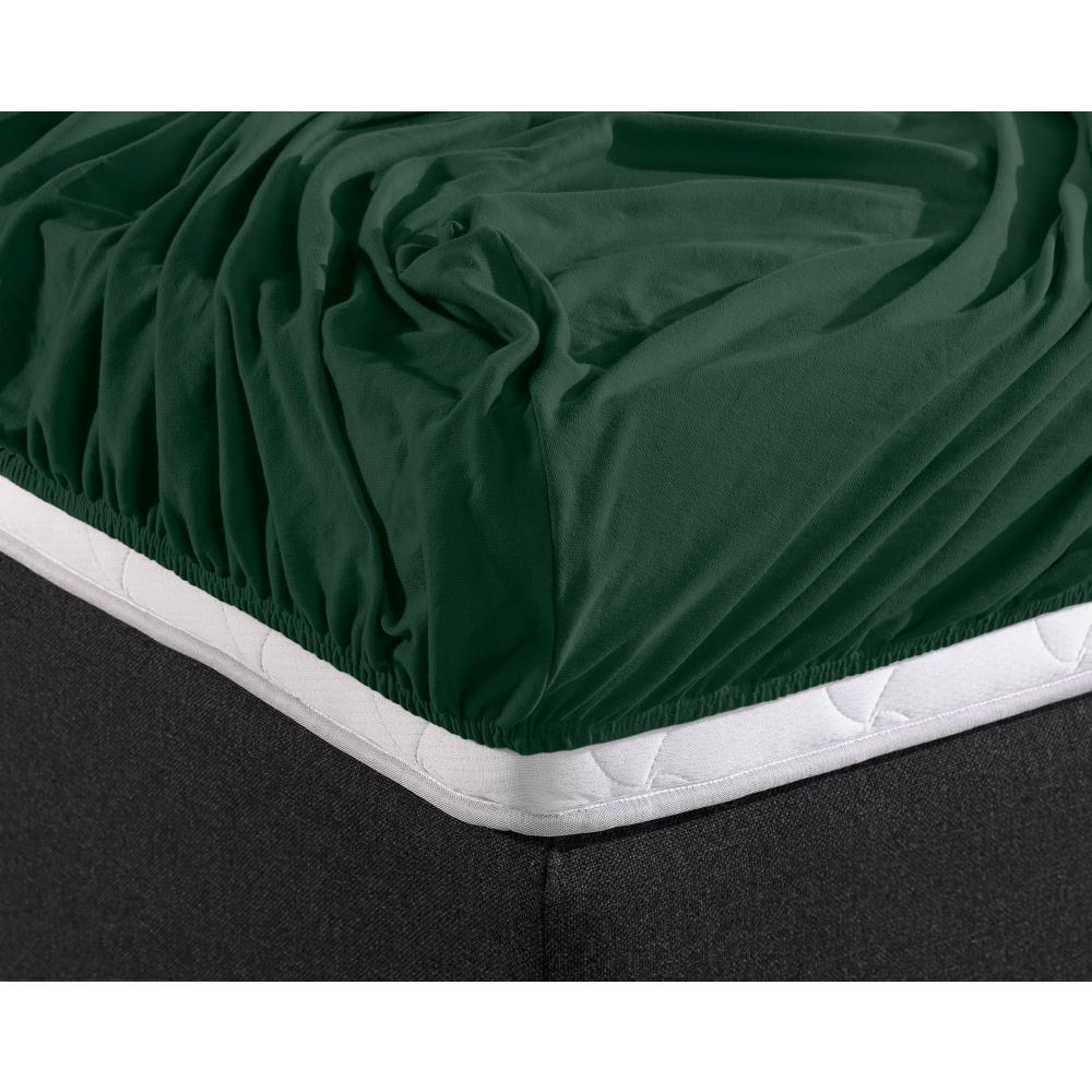 Double Jersey 220g Fitted Sheet Botanical Green - Wonderfully Soft - Suitable for Box Springs and Mattresses - Stretch Cotton