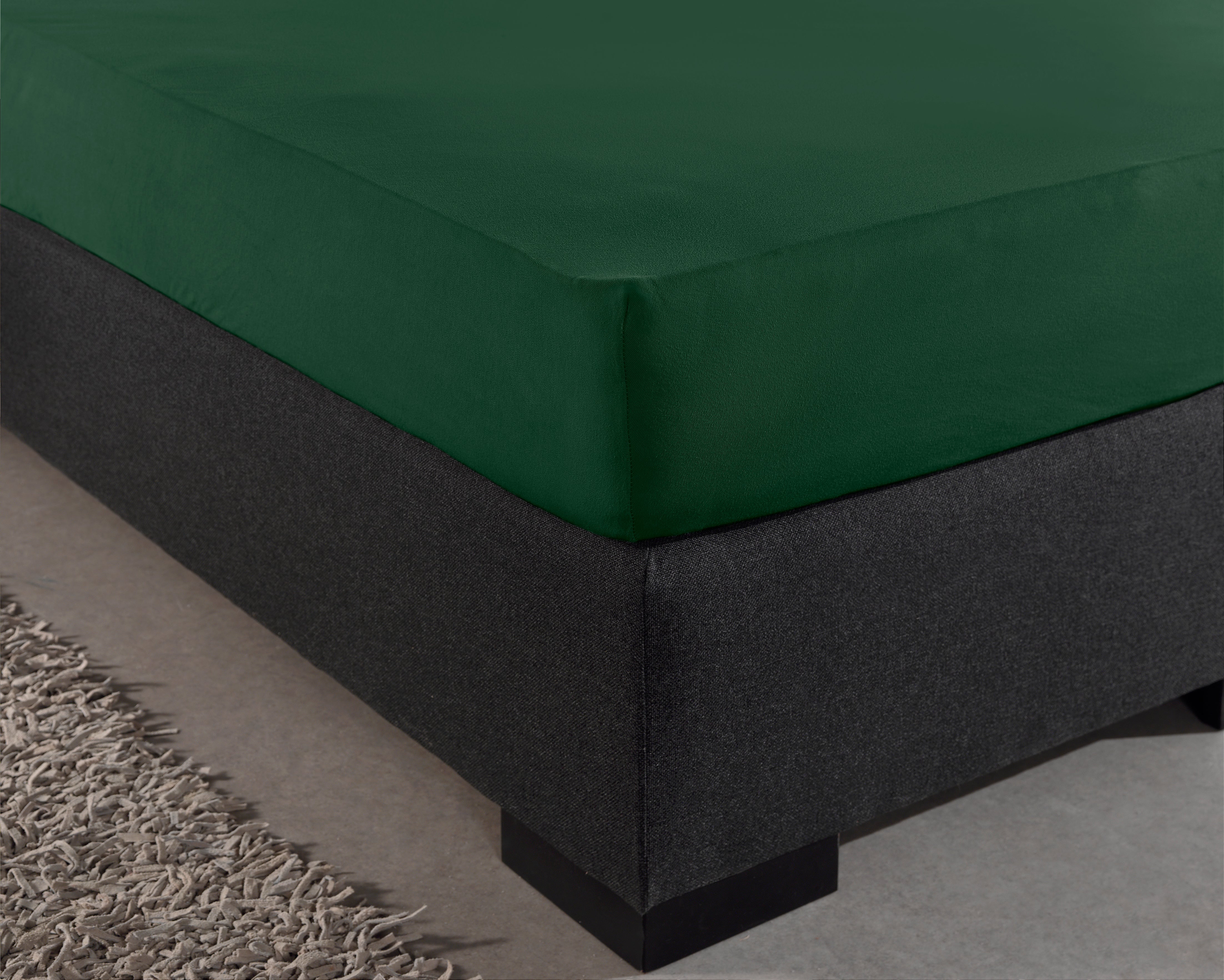 Single Jersey 135g Fitted Sheet Botanical Green - Wonderfully Soft - Suitable for Box Springs and Mattresses - Stretch Cotton