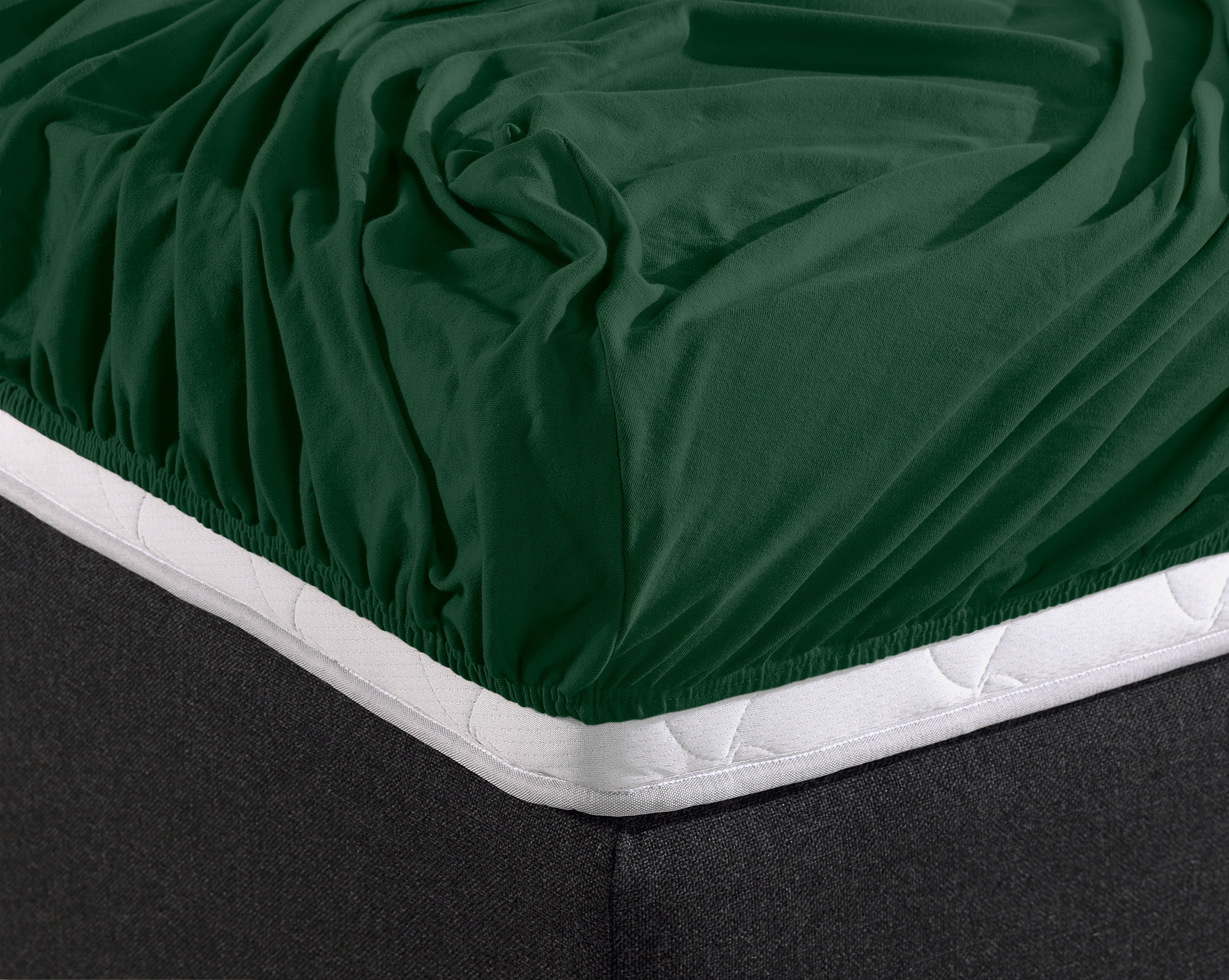 Single Jersey 135g Fitted Sheet Botanical Green - Wonderfully Soft - Suitable for Box Springs and Mattresses - Stretch Cotton