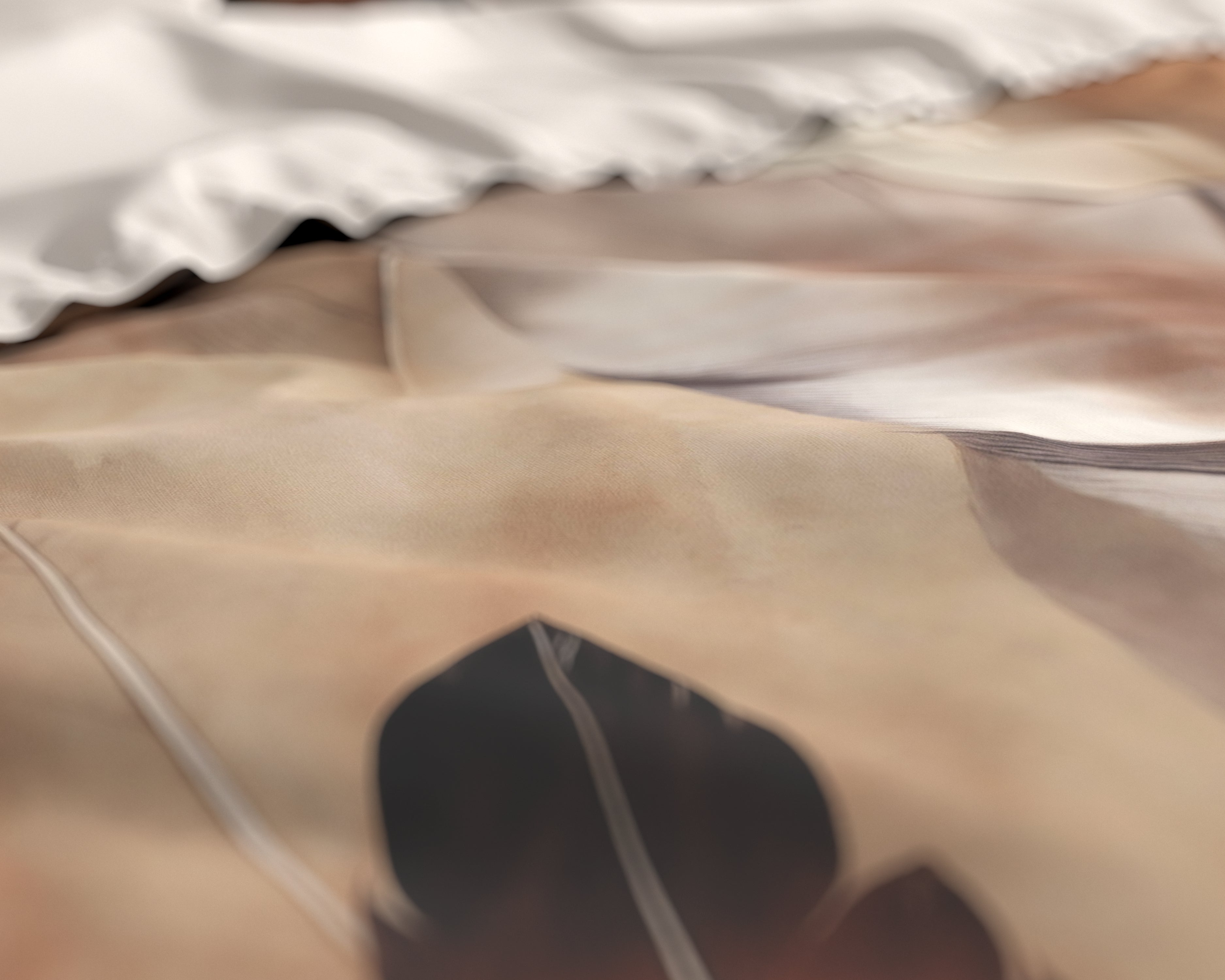 Feathura Duvet Cover Taupe - Luxury Satin - High Quality - Trendy Prints