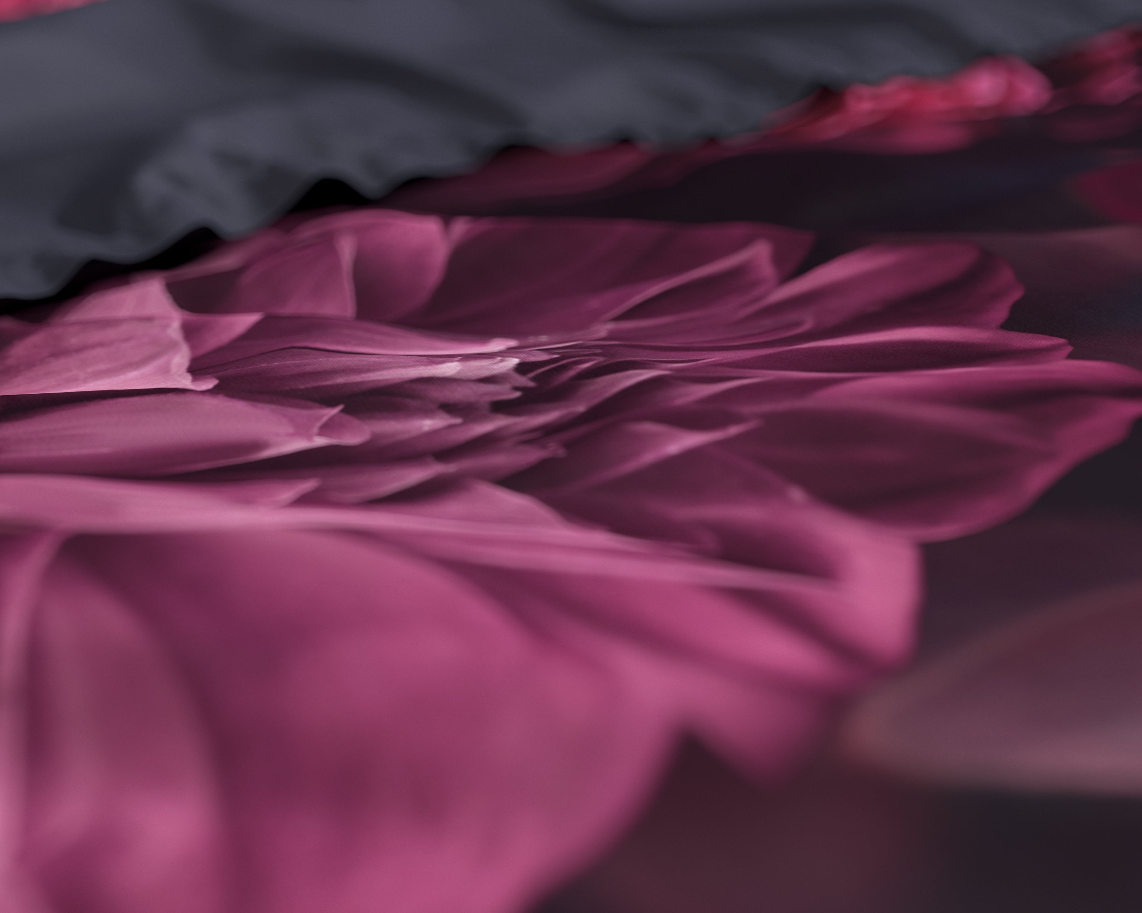 Canberra Dekbedovertrek Rood - Luxe Satijn - Hoge kwaliteit - Trendy prints