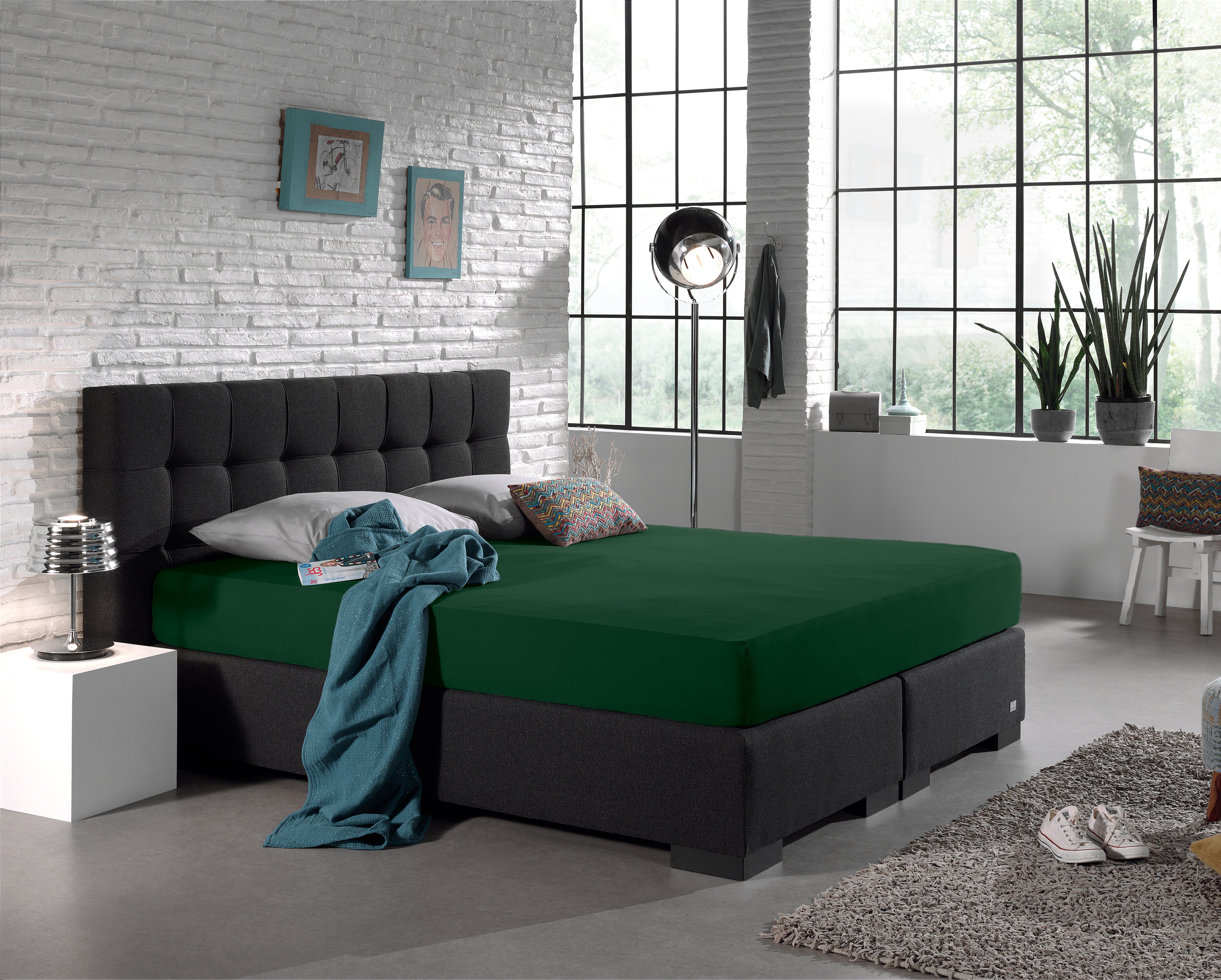 Single Jersey 135g Fitted Sheet Botanical Green - Wonderfully Soft - Suitable for Box Springs and Mattresses - Stretch Cotton